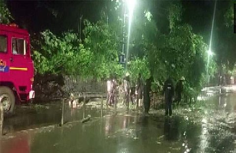 കനത്ത മഴയില് മരം കടപുഴകി വീണ നിലയില്/ എഎന്ഐ