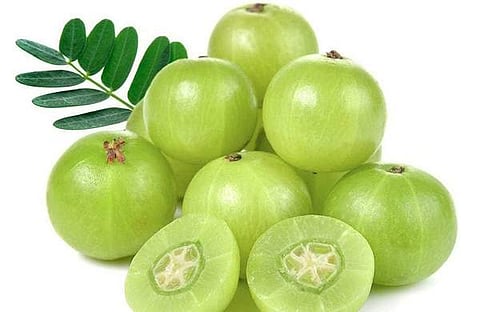 പ്രതീകാത്മക ചിത്രം