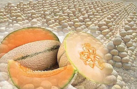 പ്രതീകാത്മക ചിത്രം