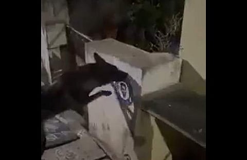 ആന്ധ്ര മുഖ്യമന്ത്രിയുടെ പോസ്റ്റര് കടിച്ചുകീറുന്ന നായയുടെ ദൃശ്യം