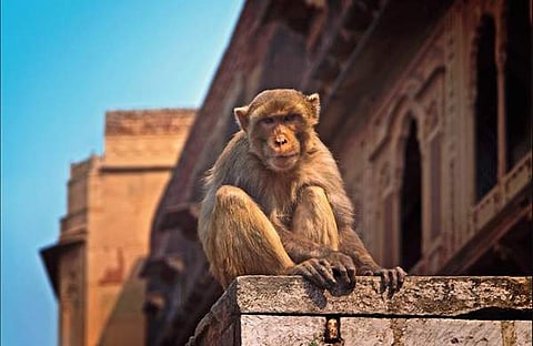 ഫയൽ ചിത്രം