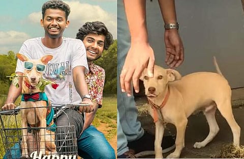 നെയ്മർ പോസ്റ്റർ, നെയ്മർ നായ/ വിഡിയോ സ്ക്രീൻഷോട്ട്