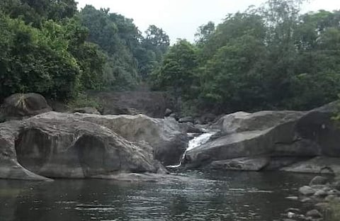 അരിപ്പാറ വെള്ളച്ചാട്ടം, സ്ക്രീന്ഷോട്ട്