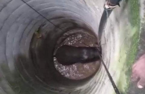 ഫയല് ചിത്രം