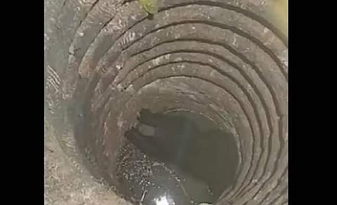 കരടി കിണറ്റില് വീണ നിലയില്