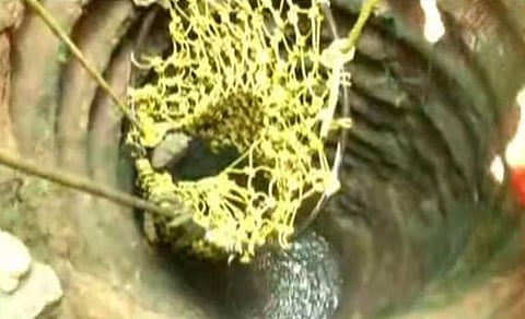 കിണറ്റിൽ വീണ കരടിയെ പുറത്തെത്തിക്കുന്ന ദൃശ്യം