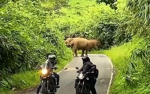 റോഡിൽ ആന ഇറങ്ങിയിരിക്കുന്ന ദൃശ്യം, കേരള പൊലീസ് ഫെയ്സ്ബുക്കിൽ പങ്കുവെച്ച വീഡിയോയുടെ സ്ക്രീൻഷോട്ട്