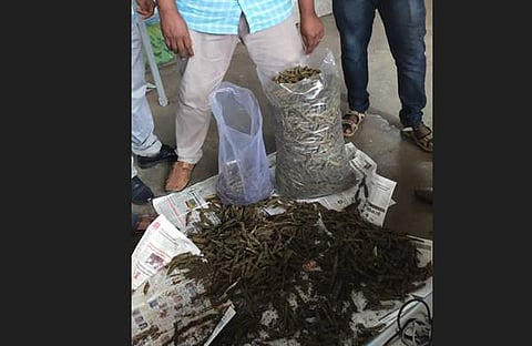 റെയിൽവേ സ്റ്റേഷനിൽ നിന്ന് പിടികൂടിയ കഞ്ചാവ്