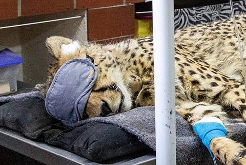 പ്രതീകാത്മക ചിത്രം