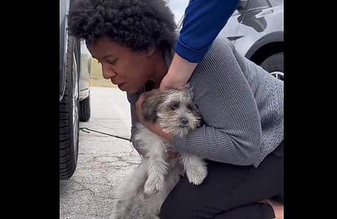 നായ്ക്കുട്ടിയെ രക്ഷിക്കാന് കഴിഞ്ഞതിന്റെ സന്തോഷ പ്രകടനം