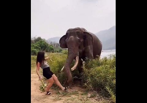 വീഡിയോ ദൃശ്യം