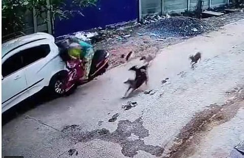 കാറിന്റെ പിന്നില് ഇടിച്ച് സ്കൂട്ടറില് ഉണ്ടായിരുന്ന കുട്ടി അടക്കം മൂന്ന് പേര് തെറിച്ചുവീഴുന്ന ദൃശ്യം