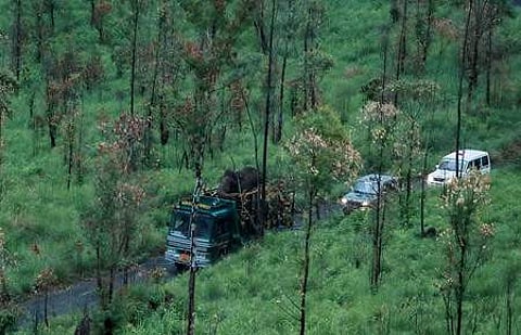 അരിക്കൊമ്പന് ദൗത്യം/എക്സ്പ്രസ് ഫോട്ടോ