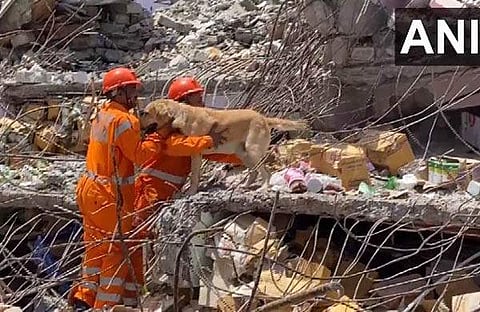 ഡോഗ് സ്ക്വാഡ് തിരച്ചില് നടത്തുന്നു/ എഎന്ഐ