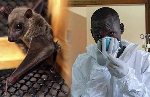 പ്രതീകാത്മക ചിത്രം