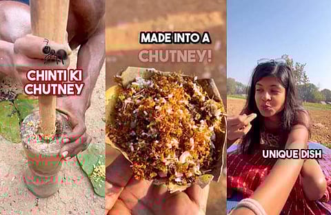 വിഡിയോ സ്ക്രീൻഷോട്ട്