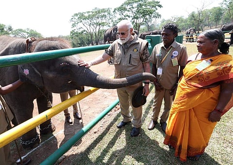 ബൊമ്മനും ബെല്ലിയും മോദിയോടൊപ്പം/ ട്വിറ്റർ