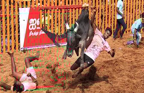 ഫയൽ ചിത്രം