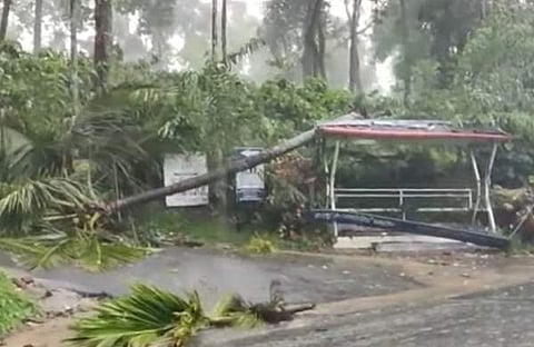 ടെലിവിഷൻ ചിത്രം