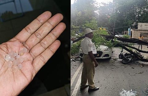 ആലിപ്പഴ വർഷം, മരം വീണു ഗതാഗത തടസം/ ട്വിറ്റർ