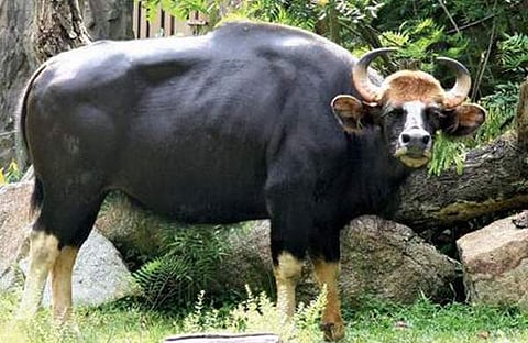 ഫയല് ചിത്രം