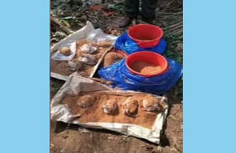 കണ്ടെടുത്ത ബോംബുകൾ/ ടിവി ദൃശ്യം