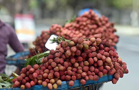 ലിച്ചി പഴം, ഫയല് ഫോട്ടോ/ എക്സ്പ്രസ്