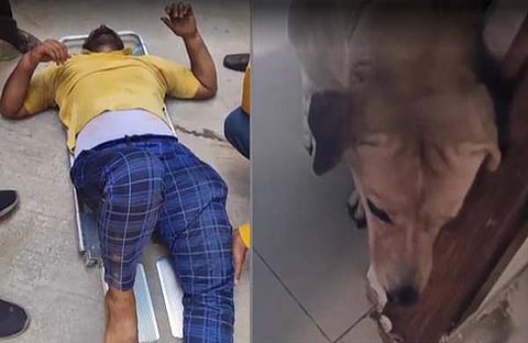 മുഹമ്മദ് ഇല്യാസ്, നായ/ ടെലിവിഷൻ ദൃശ്യം