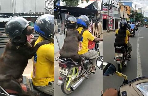 വിഡിയോ സ്ക്രീൻഷോട്ട്