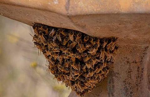 പ്രതീകാത്മക ചിത്രം