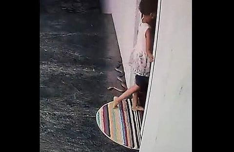 പാമ്പിന് അരികിൽ നിൽക്കുന്ന കുട്ടിയുടെ ദൃശ്യം