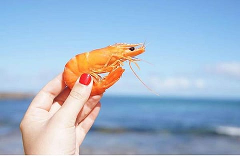 പ്രതീകാത്മീക ചിത്രം