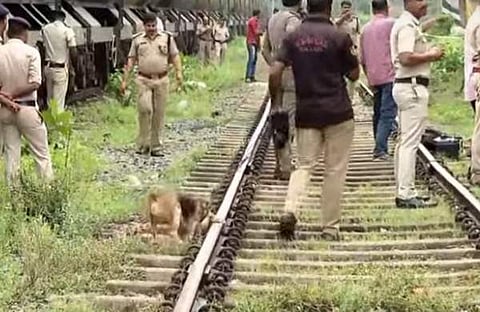 തീവയ്പുണ്ടായ സ്ഥലത്ത് ഡോഗ് സ്ക്വാഡ് പരിശോധിക്കുന്നു