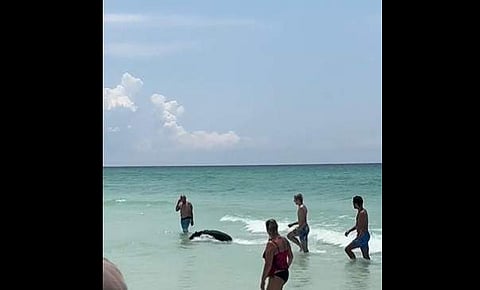 വീഡിയോ സ്ക്രീന്ഷോട്ട്