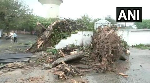 വീഡിയോ സ്ക്രീന്ഷോട്ട്