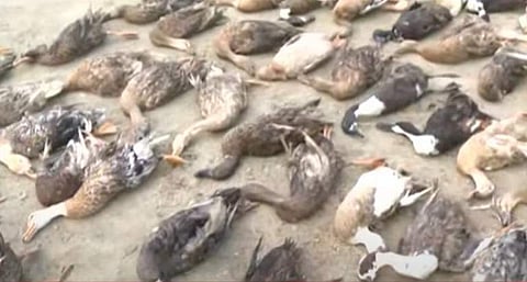 ടെലിവിഷൻ ദൃശ്യം