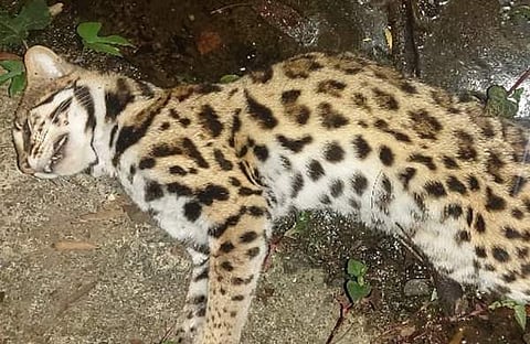 പ്രതീകാത്മക ചിത്രം