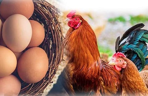 പ്രതീകാത്മക ചിത്രം