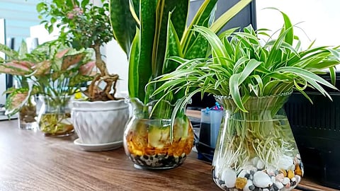 പ്രതീകാത്മക ചിത്രം