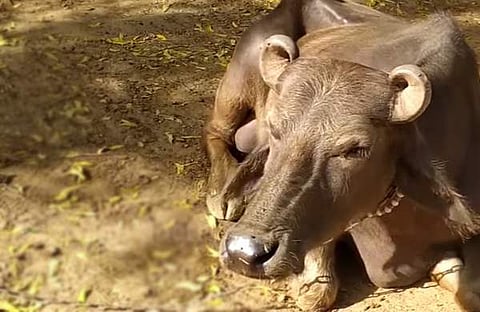 പ്രതീകാത്മക ചിത്രം