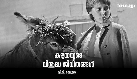 നവീകരണത്തിന്റെ അഗ്നിക്കു കാരണമാകുന്ന 'കഴുത'