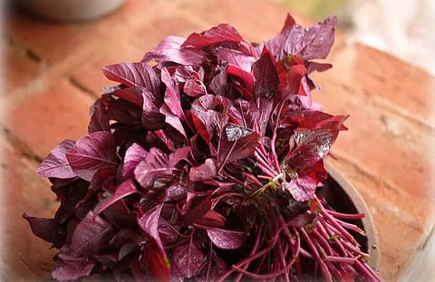 പ്രതീകാത്മക ചിത്രം