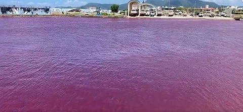 ചിത്രം: ട്വിറ്റര്