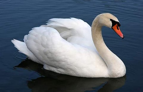 പ്രതീകാത്മക ചിത്രം