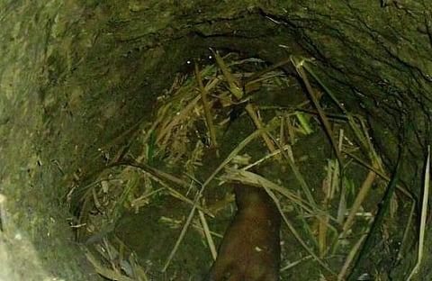 പ്രതീകാത്മക ചിത്രം