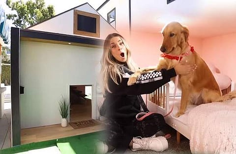 വീഡിയോ സ്ക്രീൻഷോട്ട്