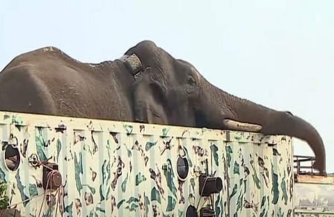 അരിക്കൊമ്പനെ കൊണ്ടുപോകുന്നു/ ടിവി ദൃശ്യം