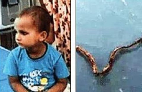 ആയുഷ്, ചത്ത പാമ്പ്/ ഐഎഎന്സ്