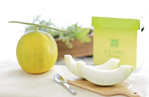 ചിത്രം: ഫോര് ദി ലവ് ഓഫ് ജപ്പാന് ഫേയ്സ്ബുക്ക് പേജ്