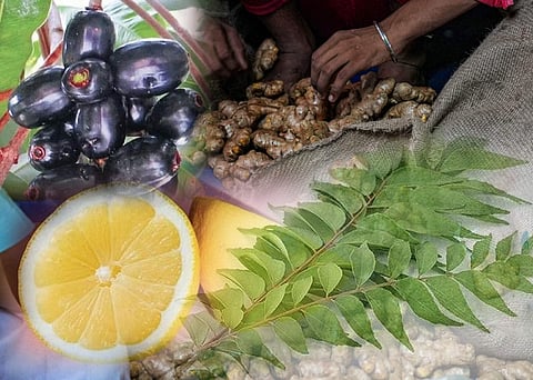 പ്രതീകാത്മക ചിത്രം